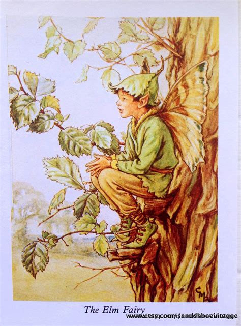 1930s Elm Fairy Cicely Mary Barker Print Ideal For Framing Tree Fairy