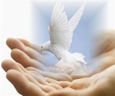 Hands Of God White Doves Humanity Healing Peace And Love