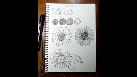 Belajar cara menggambar kartun dengan pensil dengan mudah. cara menggambar bunga matahari dengan mudah | how to draw ...