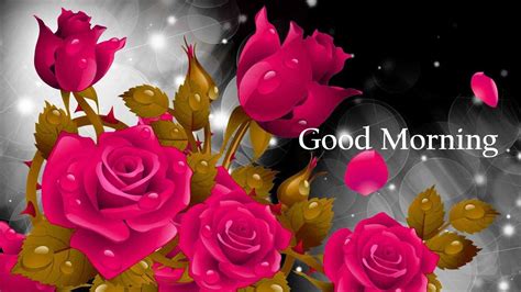Free download mind blowing good morning wallpapers with high quality.download nice beautiful good morning wallpapers and keep happy to your loved one. Good Morning Images with Rose | Rose flower wallpaper, Red ...
