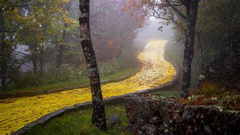 The Yellow Brick Road In North Carolinas Abandoned Wizard Of Oz Theme