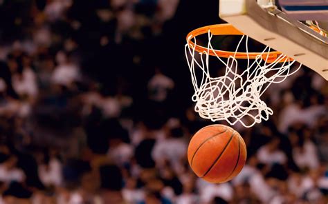 6 Basketball Facts No One Knows Playo