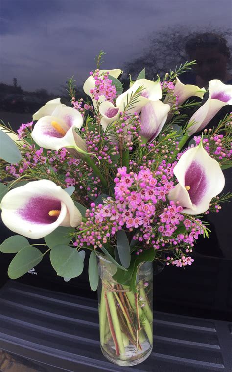 Precious Purple Calla Lilies In Milwaukee Wi Ericas Blooming