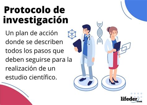 Protocolo De Investigación Qué Es Características Estructura Ejemplos