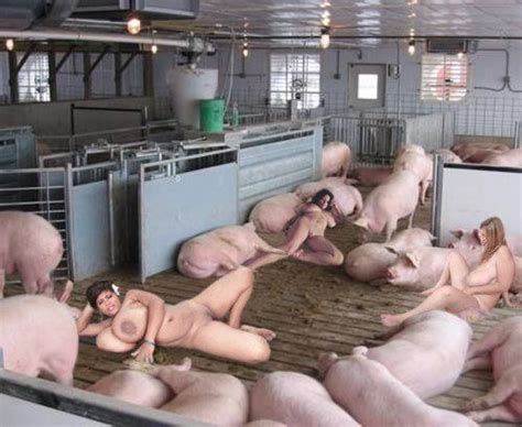Farm Pig Bdsm Nude Pics