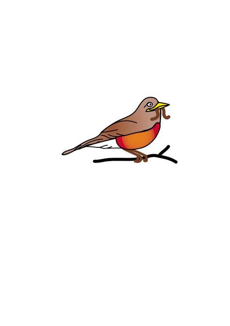 Robin Bird Clip Art Cliparts