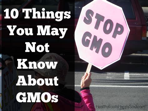 Naturally Loriel / 10 Things You May Not Know About GMOs - Naturally Loriel