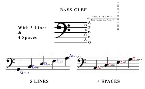 If you want to know how to read bars in sheet music, read this article. What are staff notations? - Quora