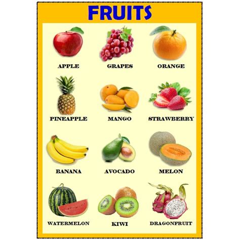 Fruits Laminated Chart A Size Shopee Philippines Porn Sex Picture