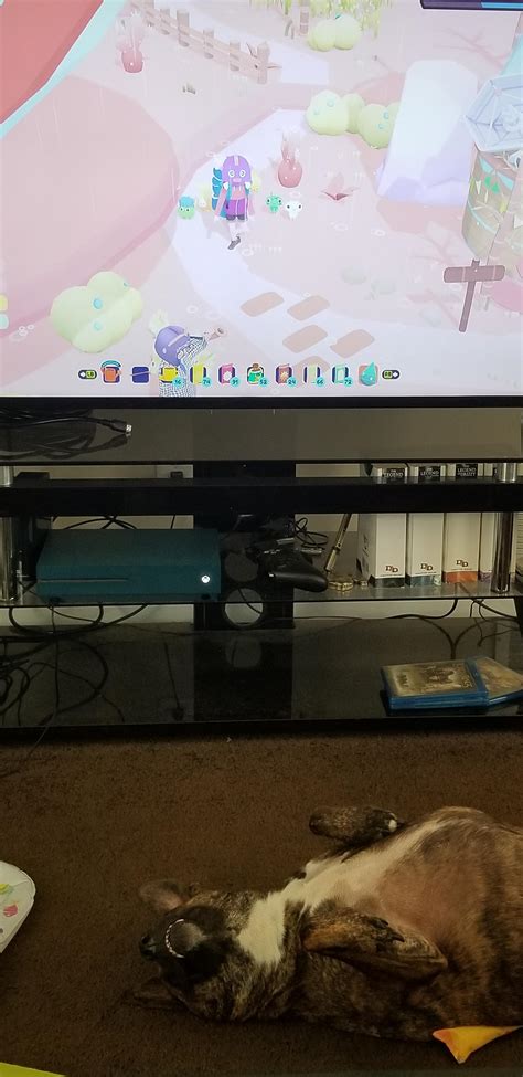 This is pretty terrible advice, to be honest. Taffys gifts are the best gifts! ft my lazy dog : Ooblets