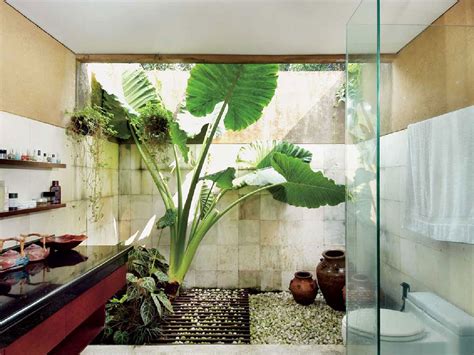 kamar mandi  konsep outdoor ditambah pohon talas besar sebagai