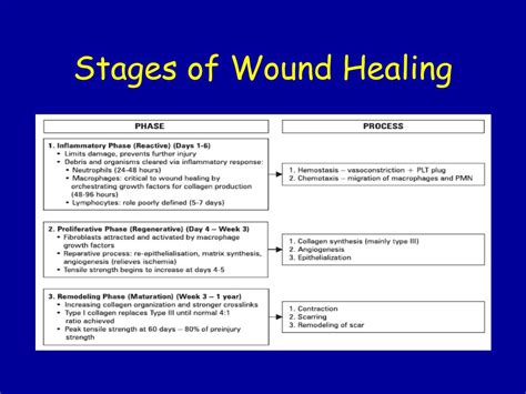 4 Stages Of Wound Healing