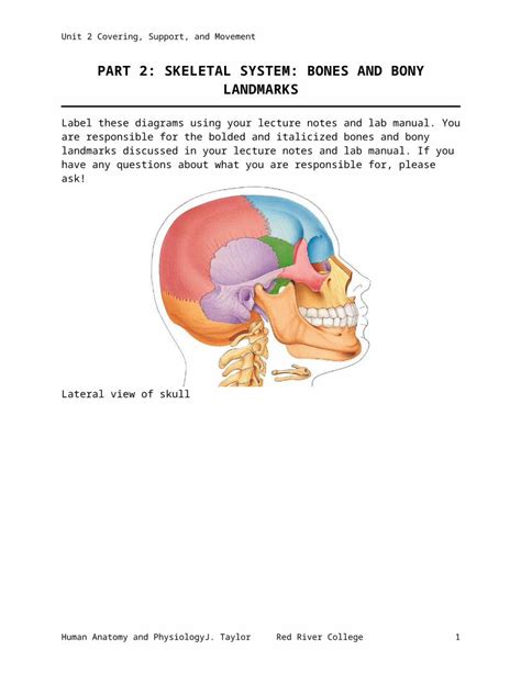 Docx Lesson Plan Sheet 1 Wkc Anatomy And · Web Viewhuman Anatomy