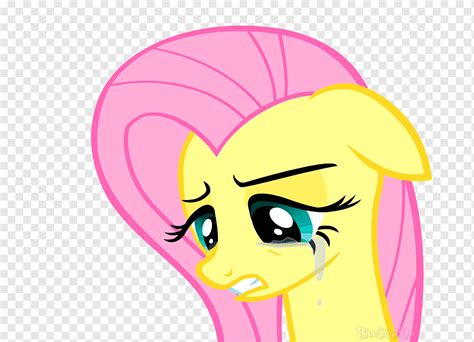 Fluttershy Pony Rarity Pinkie Pie Derpy Hooves Fluttershy Crying Face