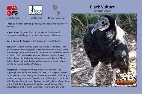 Social security card is required at time of employment for payroll and background check purposes. Black Vulture | Gainesville, TX - Official Website