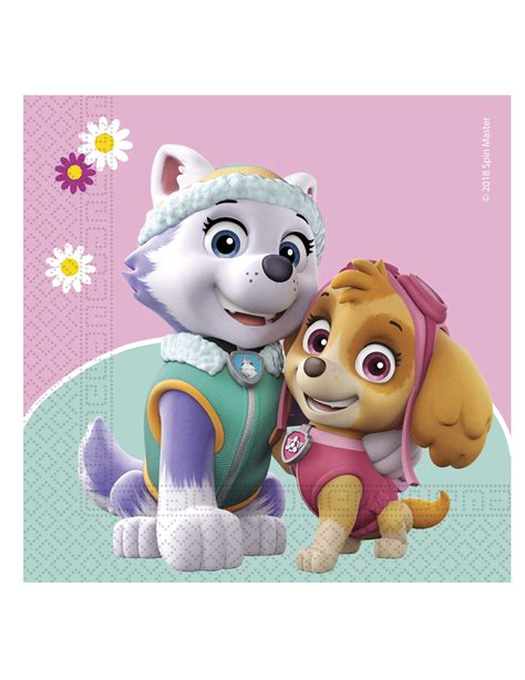 Everest Paw Patrol Amateri Sex Po Skype Online For Free In Hd