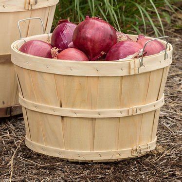Please call for pricing and availability. Old-Time Poplar Half Bushel Baskets - Pack of 2, Garden ...