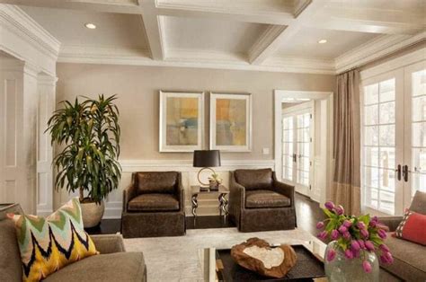101 Transitional Style Living Room Ideas Photos Transitional Style