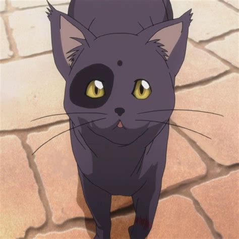 Kitty Anime Drawing Cute Cat Hadza Property