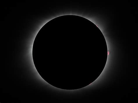 Solar Eclipse Of August 21 2017 Wikipedia