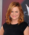 AMY POEHLER at 2015 AFI Life Achievement Award Gala in Hollywood ...