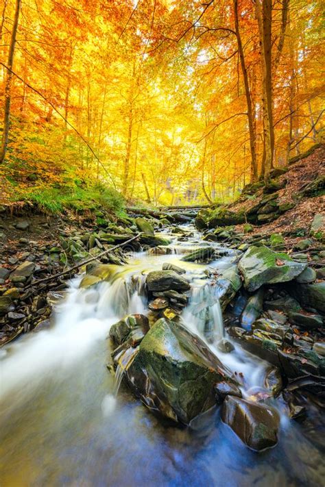 Autumn Nature Mountain Waterfall Stream In The Rocks With Colorful