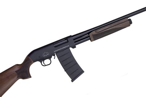 New Semi Auto And Pump Shotguns From Black Aces Tactical Recoil