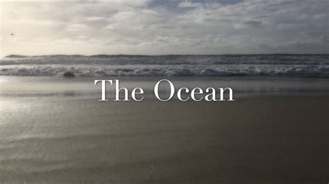 The Ocean Youtube