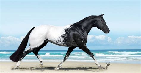 16 Photographs Of The Most Beautiful Horses You Will Ever See