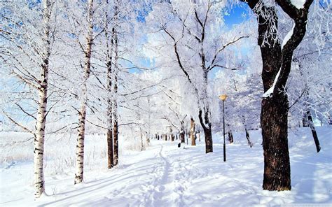 Winter Wonderland Wallpapers Top Free Winter Wonderland Backgrounds