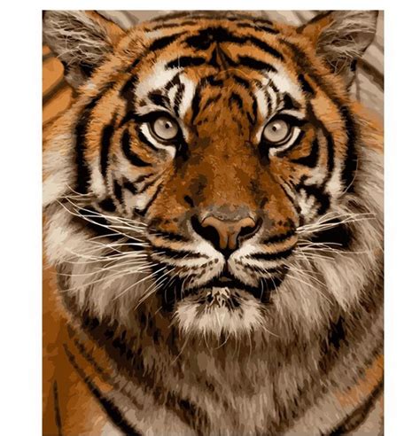 Tiger Paint By Number Kit D Coration La Maison Couleur Par Etsy