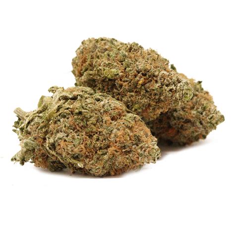 Watermelon Gelato Strain Buy Weed Online Canada Bulk Buddy Bud