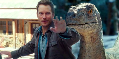 Chris Pratt Explique Raptor Bond Dans Jurassic World Dominion Oxtero My Xxx Hot Girl