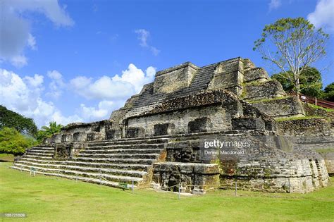 Altun Ha Mayan Ruins Belize City High Res Stock Photo Getty Images