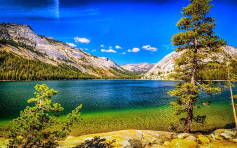 Nature Landscape Lake Mountains Forest Summer Trees Blue Sky