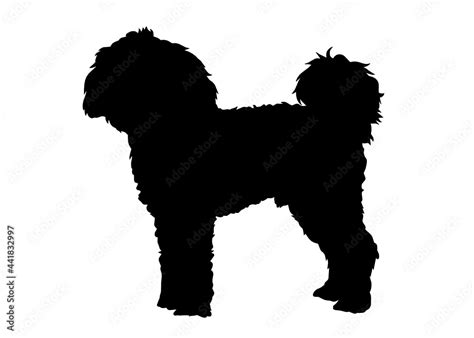 Cavapoo Dog Silhouette Vector Illustration Silhouette Of A Dog On A