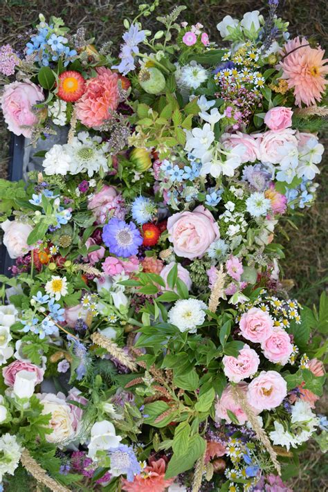 We did not find results for: Early August wedding with garden flowers with a wild vibe ...