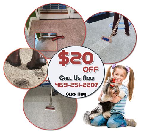 Carrollton Tx Carpet Cleaning Pet Stain Removal Safe Cleaners