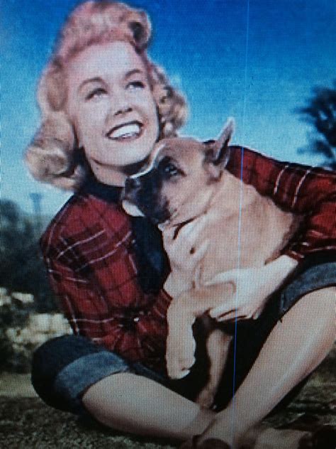 Doris Day And Her Dog She Loved Animals Animal Activist Old Movies