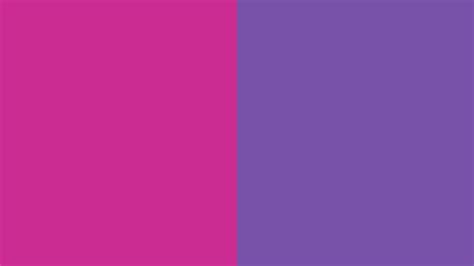🔥 download royal fuchsia and purple two color background by jorgep88 purple color background