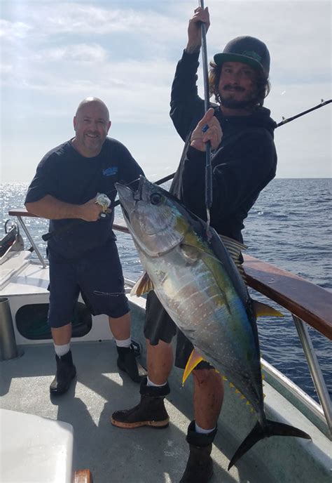 Fish Report 24 Yellowfin Tuna October 28 2016