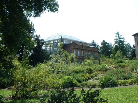 Planerar du att besöka botanischer garten i halle? Halle (Saale): Botanischer Garten