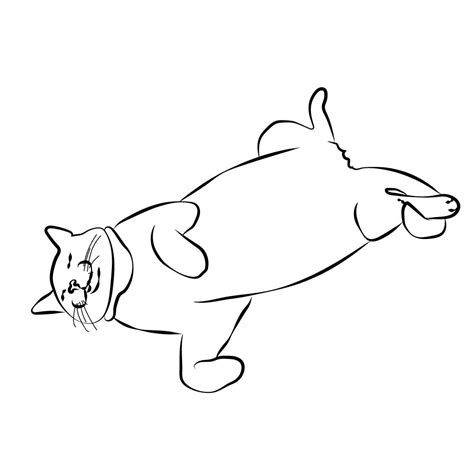 Cat Lying Down On Back Drawing Kutsu Wallpaper