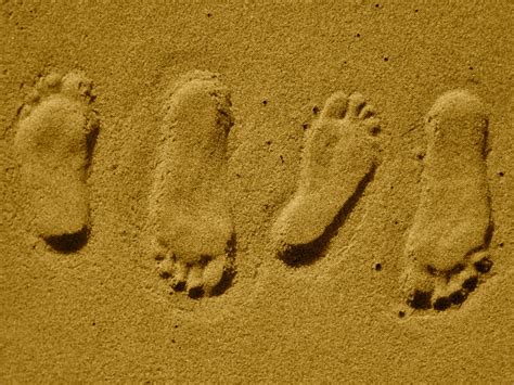 Free Images Beach Sand Texture Footprint Footstep Steps Summer