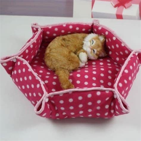 25 Diy Cat Bed Ideas That Will Keep Your Kitty Warm And Cozy