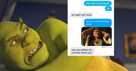 The Most Hilarious Shrek Memes The Internet Has Given Us