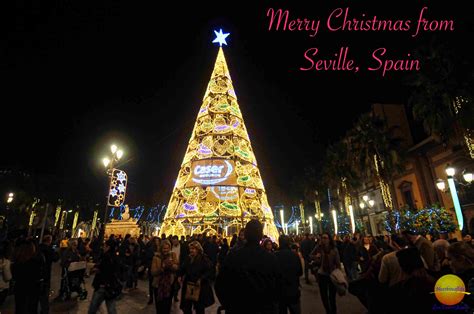 Christmas In Seville Spain A Night Stroll Nextbiteoflife