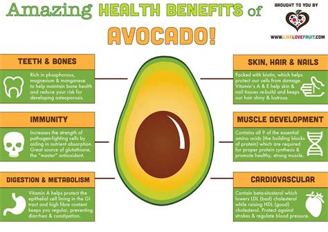 Amazing Health Benefits Of Avocado Live Love Fruit