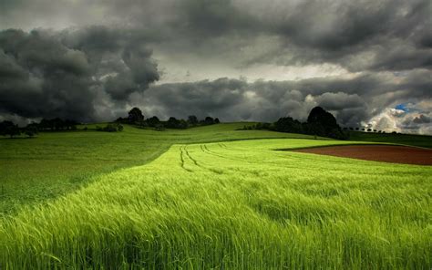 Nature Field Hd Wallpaper By Rita Eberle Wessner