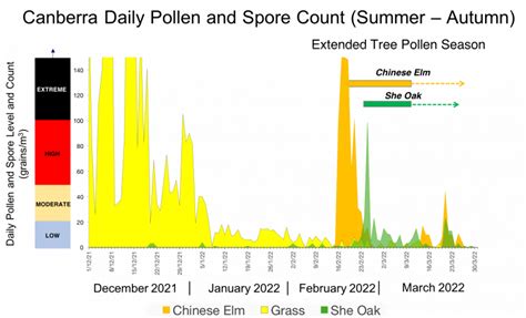 Canberra Pollen Levels Soar Three Times Higher Than Previous Records